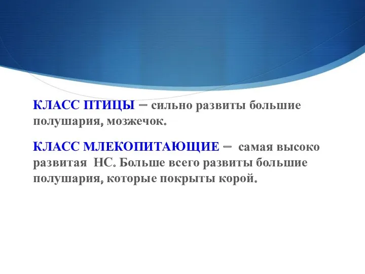 КЛАСС ПТИЦЫ – сильно развиты большие полушария, мозжечок. КЛАСС МЛЕКОПИТАЮЩИЕ – самая высоко