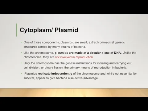 Cytoplasm/ Plasmid One of those components, plasmids, are small, extrachromosomal