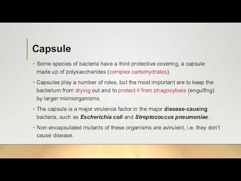 Capsule Some species of bacteria have a third protective covering,