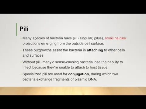 Pili Many species of bacteria have pili (singular, pilus), small