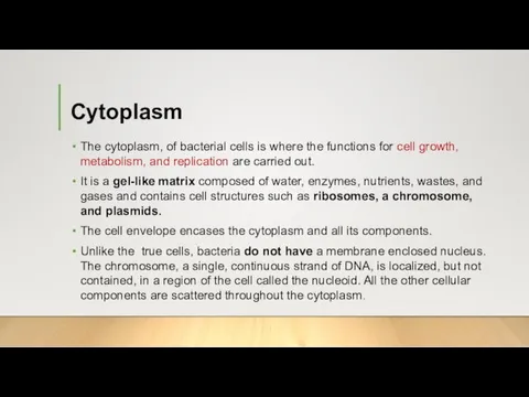 Cytoplasm The cytoplasm, of bacterial cells is where the functions