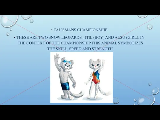 TALISMANS CHAMPIONSHIP THESE ARE TWO SNOW LEOPARDS - ITIL (BOY)