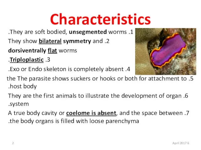 Characteristics 1. They are soft bodied, unsegmented worms. 2. They