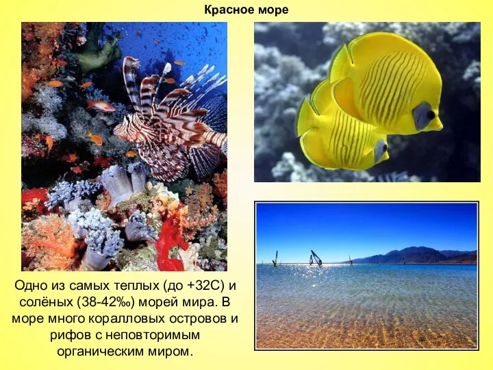 Красное море Одно из самых теплых (до +32С) и солёных