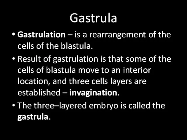 Gastrula Gastrulation – is a rearrangement of the cells of