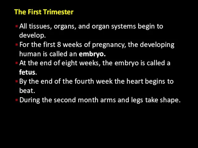 The First Trimester All tissues, organs, and organ systems begin