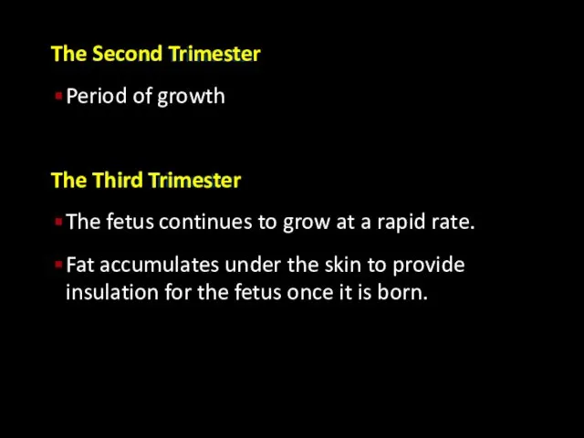 The Second Trimester Period of growth The Third Trimester The