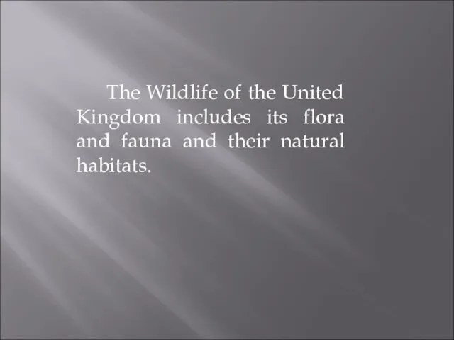The Wildlife of the United Kingdom includes its flora and fauna and their natural habitats.