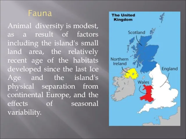 Fauna Animal diversity is modest, as a result of factors including the island's