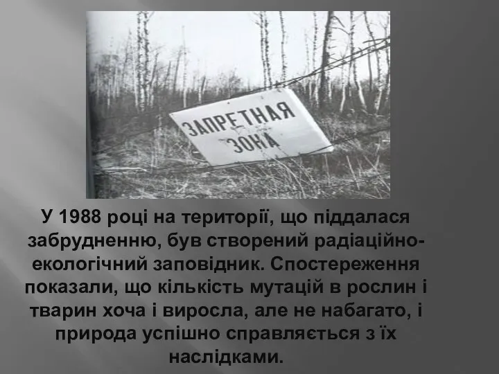 У 1988 році на території, що піддалася забрудненню, був створений радіаційно-екологічний заповідник. Спостереження