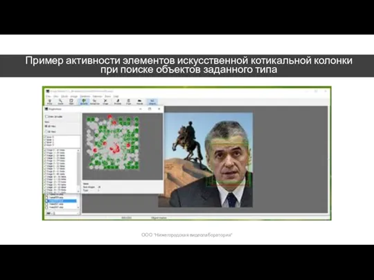 Пример активности элементов искусственной котикальной колонки при поиске объектов заданного типа ООО "Нижегородская видеолаборатория"