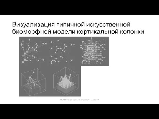 Визуализация типичной искусственной биоморфной модели кортикальной колонки. ООО "Нижегородская видеолаборатория"