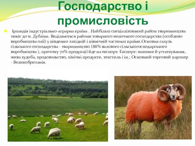 Господарство і промисловість Ірландія індустріально-аграрна країна . Найбільш спеціалізований район