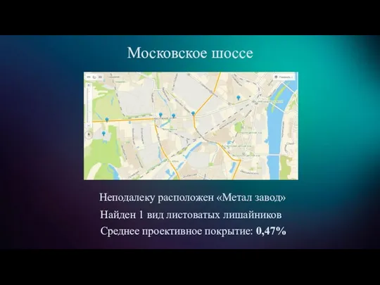 Московское шоссе Неподалеку расположен «Метал завод» Найден 1 вид листоватых лишайников Среднее проективное покрытие: 0,47%