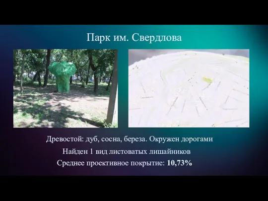 Парк им. Свердлова Древостой: дуб, сосна, береза. Окружен дорогами Найден