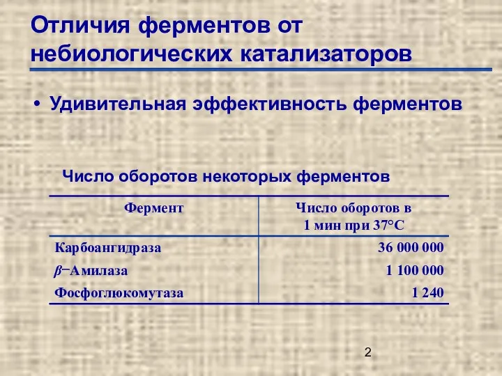 Отличия ферментов от небиологических катализаторов Удивительная эффективность ферментов Число оборотов некоторых ферментов