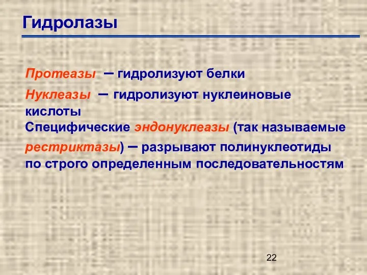 Гидролазы Протеазы – гидролизуют белки Нуклеазы – гидролизуют нуклеиновые кислоты