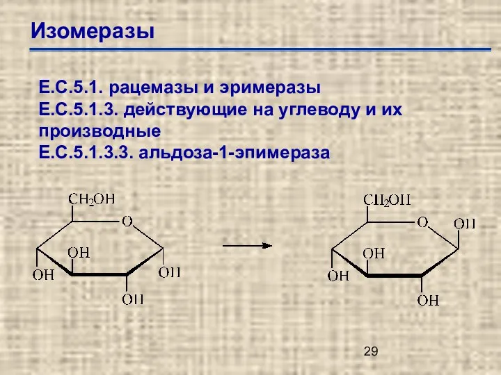 Изомеразы Е.С.5.1. рацемазы и эримеразы Е.С.5.1.3. действующие на углеводу и их производные Е.С.5.1.3.3. альдоза-1-эпимераза