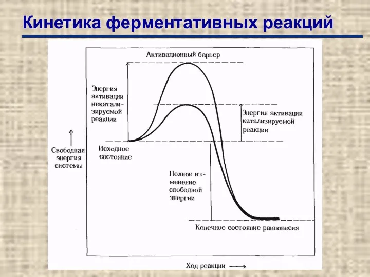 Кинетика ферментативных реакций