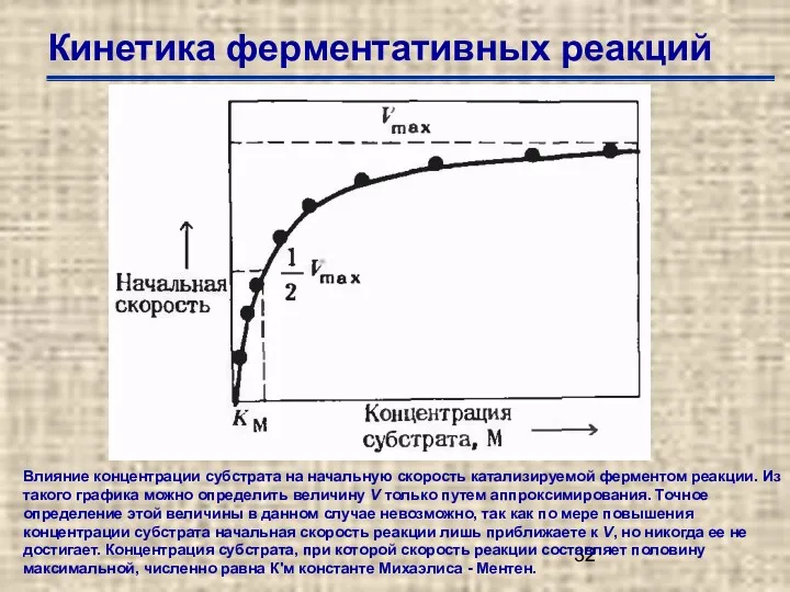 Кинетика ферментативных реакций Влияние концентрации субстрата на начальную скорость катализируемой