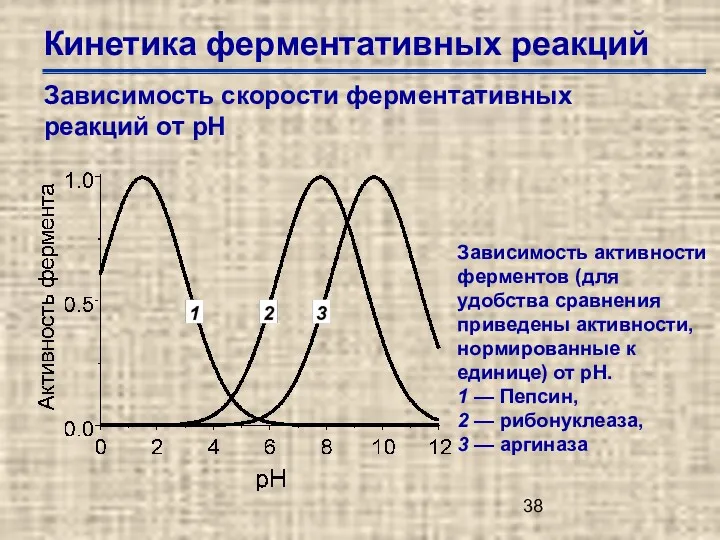 Кинетика ферментативных реакций Зависимость скорости ферментативных реакций от рН Зависимость