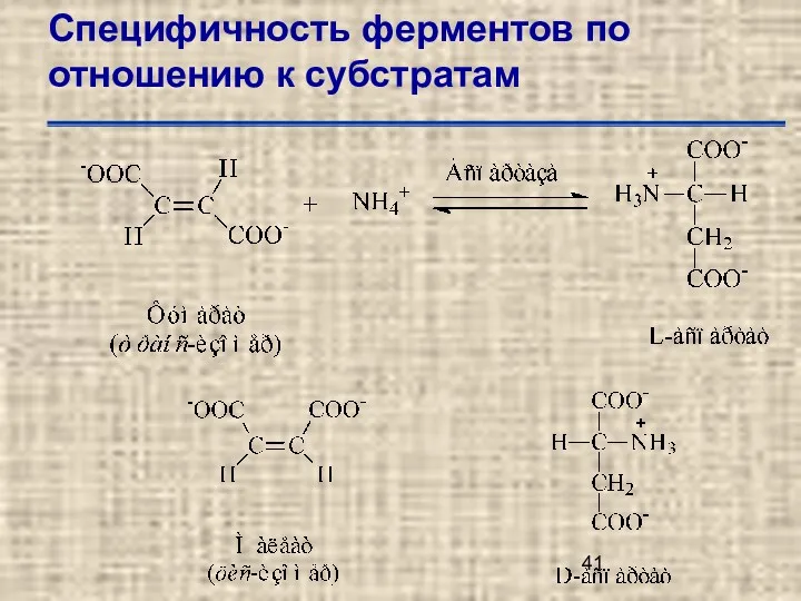 Специфичность ферментов по отношению к субстратам