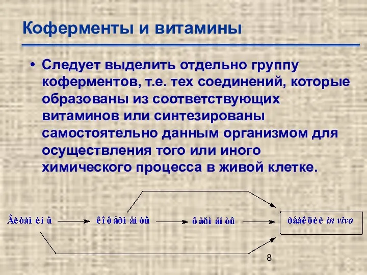 Коферменты и витамины Следует выделить отдельно группу коферментов, т.е. тех