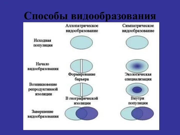 Способы видообразования