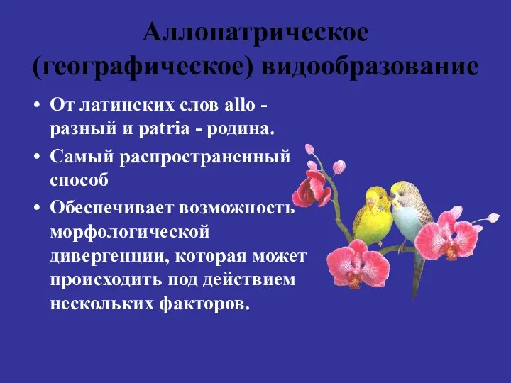 Аллопатрическое (географическое) видообразование От латинских слов allo - разный и