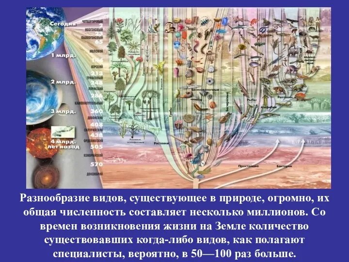 Разнообразие видов, существующее в природе, огромно, их общая численность составляет