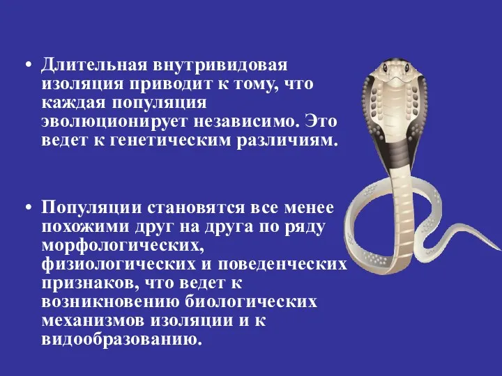 Длительная внутривидовая изоляция приводит к тому, что каждая популяция эволюционирует