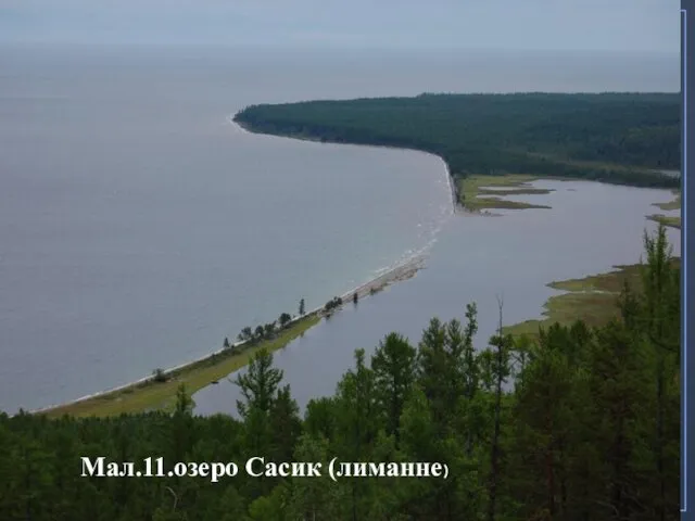 Мал.11.озеро Сасик (лиманне)