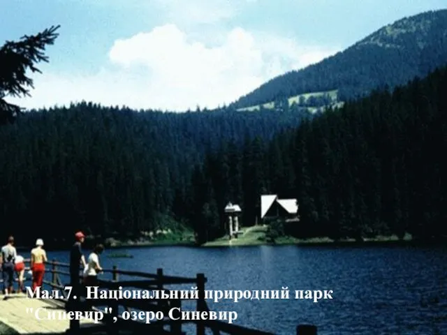 Мал.7. Національний природний парк "Синевир", озеро Синевир