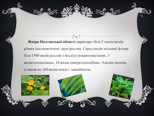 Флора Полтавської області нараховує біля 2 тисяч видів різних систематичних груп рослин. Серед