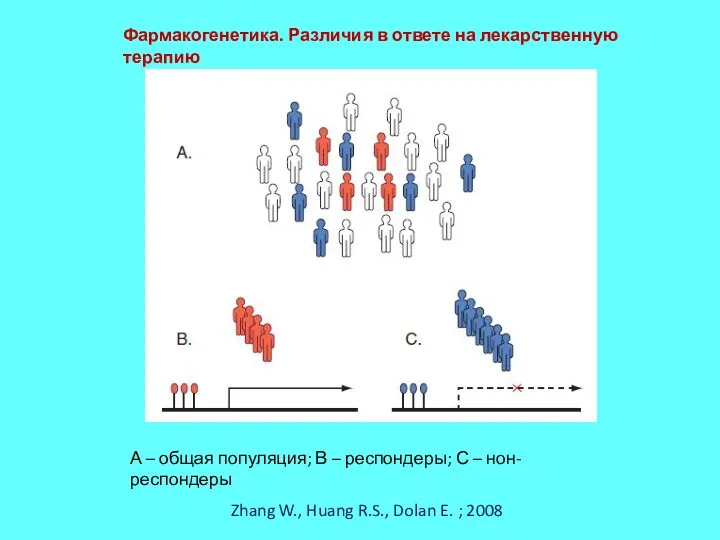 Zhang W., Huang R.S., Dolan E. ; 2008 Фармакогенетика. Различия