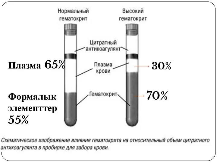 Плазма 65% Формалық элементтер 55% 30% 70%