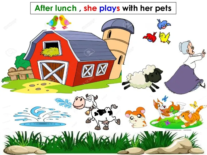 After lunch , she plays with her pets