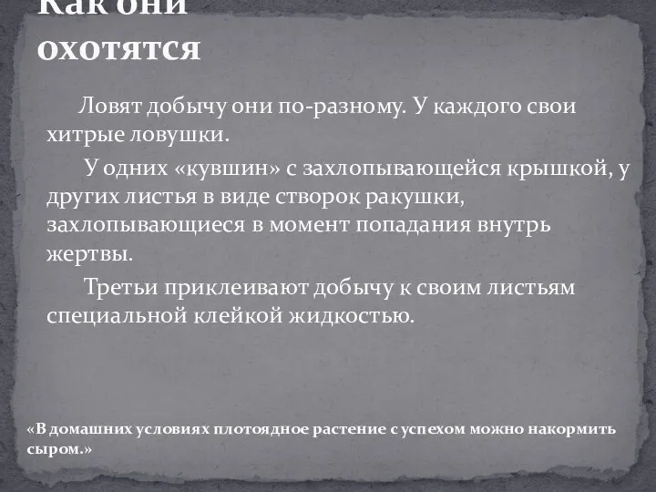 Ловят добычу они по-разному. У каждого свои хитрые ловушки. У