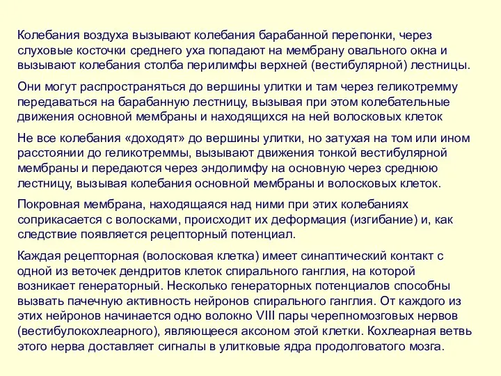 Колебания воздуха вызывают колебания барабанной перепонки, через слуховые косточки среднего