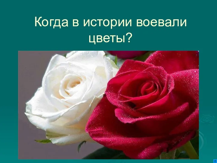 Когда в истории воевали цветы?