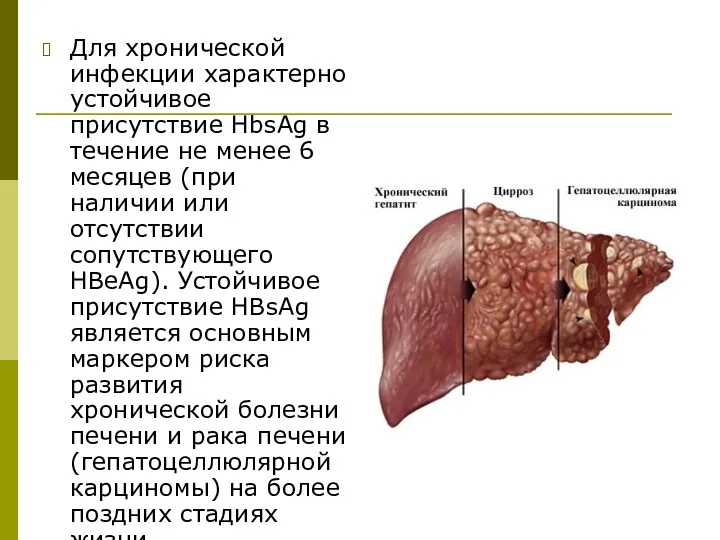 Для хронической инфекции характерно устойчивое присутствие HbsAg в течение не