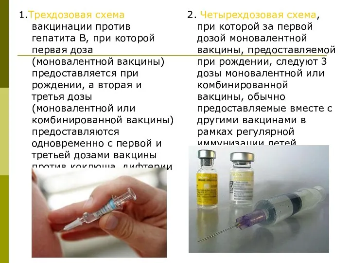 1.Трехдозовая схема вакцинации против гепатита В, при которой первая доза (моновалентной вакцины) предоставляется