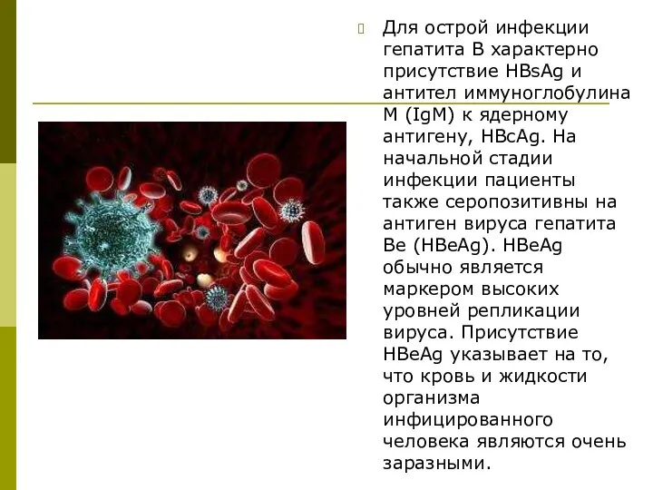 Для острой инфекции гепатита В характерно присутствие HBsAg и антител иммуноглобулина M (IgM)
