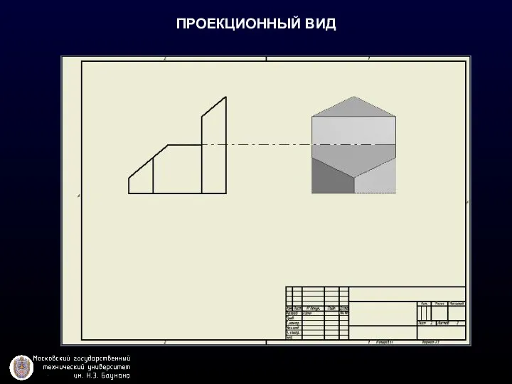 ПРОЕКЦИОННЫЙ ВИД