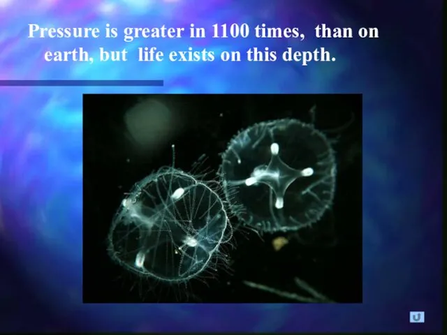 Pressure is greater in 1100 times, than on earth, but life exists on this depth.