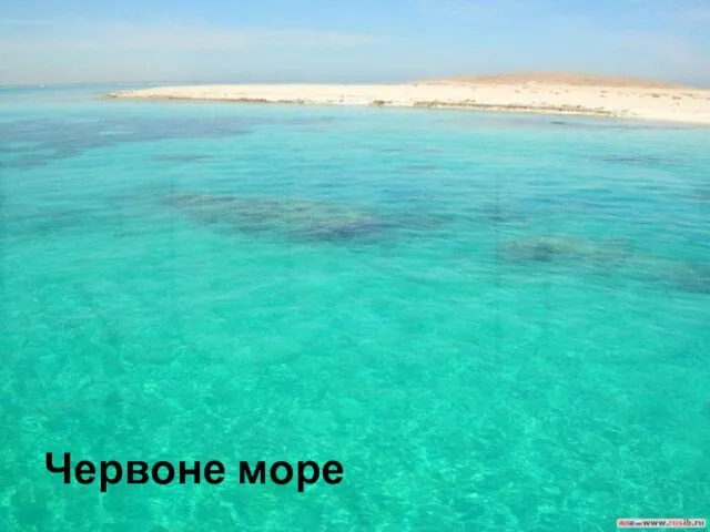 Червоне море