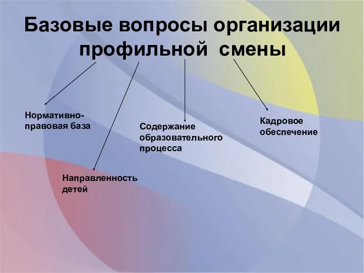 Базовые вопросы организации профильной смены Нормативно-правовая база Содержание образовательного процесса Кадровое обеспечение Направленность детей