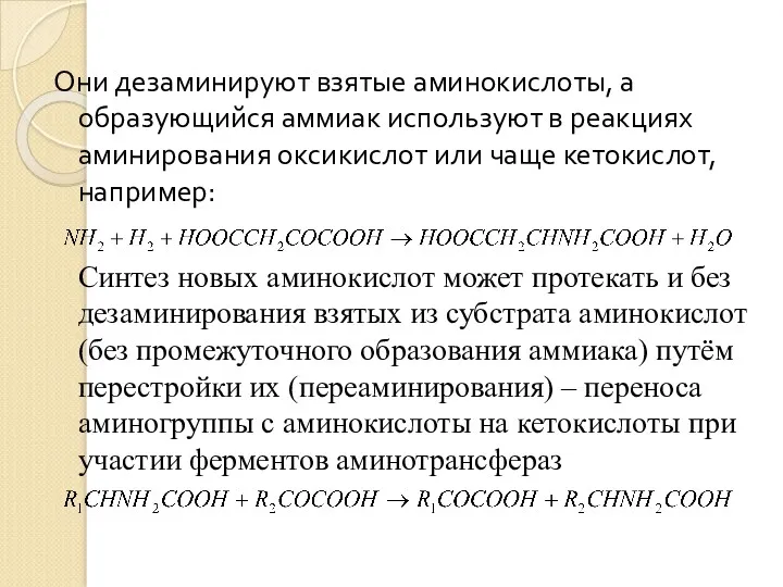 Они дезаминируют взятые аминокислоты, а образующийся аммиак используют в реакциях