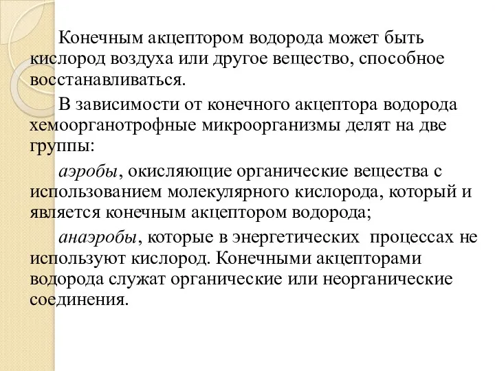 Конечным акцептором водорода может быть кислород воздуха или другое вещество,