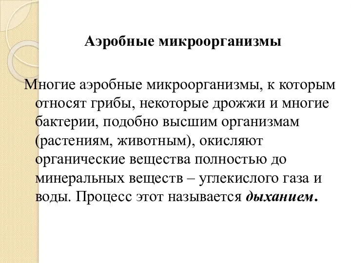 Аэробные микроорганизмы Многие аэробные микроорганизмы, к которым относят грибы, некоторые